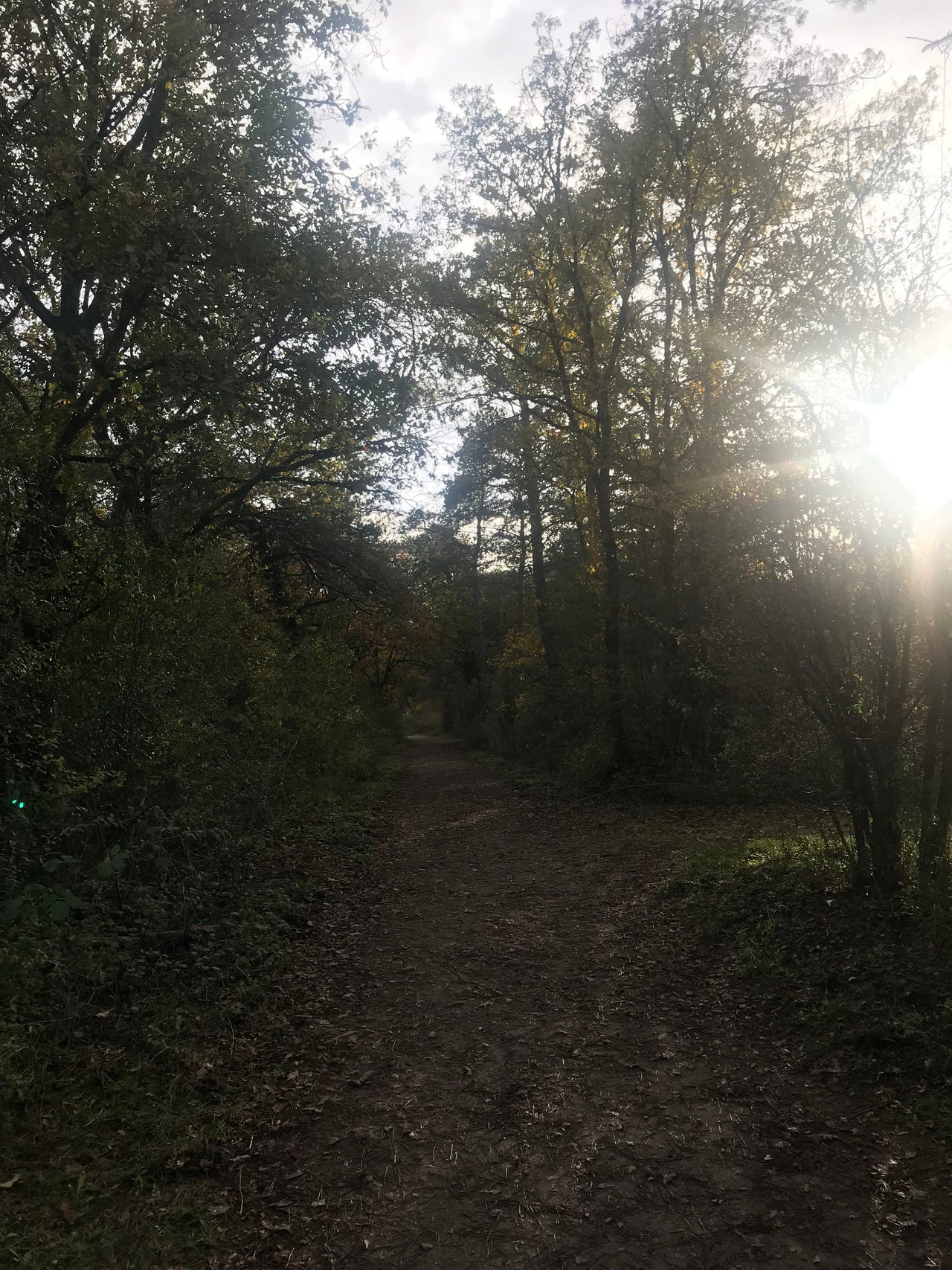 The last thing you'll seem to remember when noshing on bread or pastry at one of the bakeries in Milly-la-Forêt is the beautiful forest standing ready right nearby...